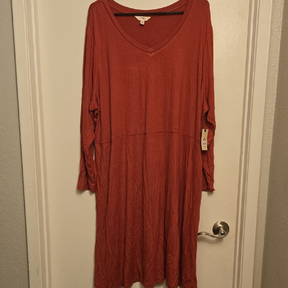 Terra & Sky Long Sleeve V-Neck Dress in Rust